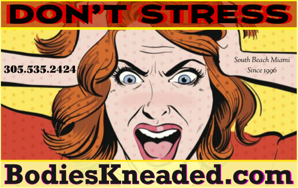 Don't Stress | Bodies Kneaded Massage Spa  South Beach Miami Since 1996  www.BodiesKneaded.com  305.535.2424  