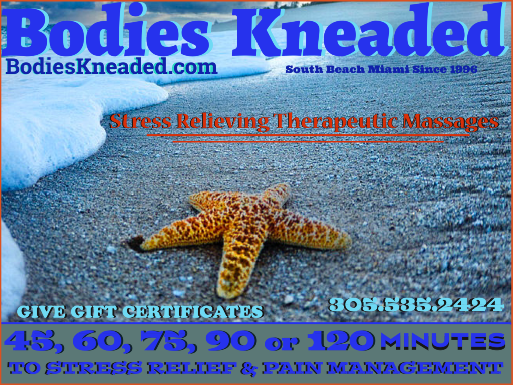 Enjoy your holiday with a massage at Bodies Kneaded Massage Spa  South Beach Miami Since 1996  www.BodiesKneaded.com  305.535.2424  